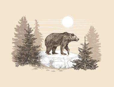   Landscape with a big brown bear and forest. Hand drawn vector illustration of wildlife.Vintage image.  clipart