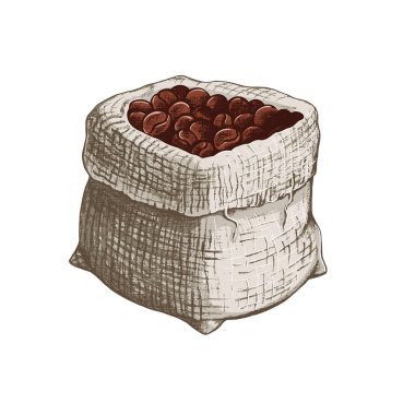 Torbadaki kahve çekirdekleri. Beyaz arkaplandaki izole vektör nesnesi. Renkli klasik çizim.