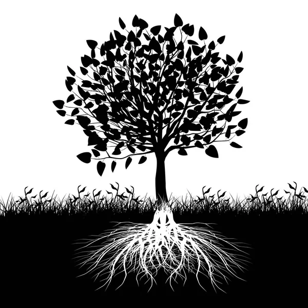 Silhouette delle radici degli alberi — Vettoriale Stock