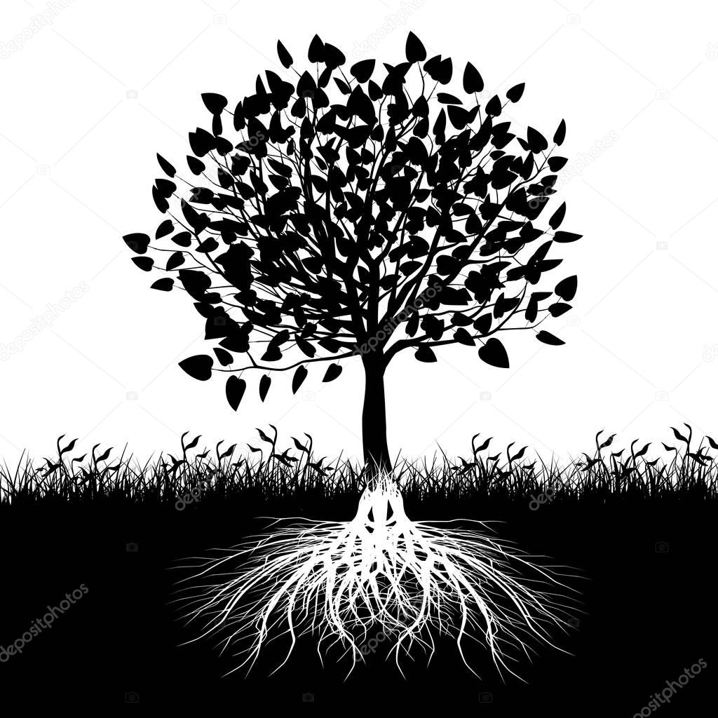 Illustration of silhouette tree with roots as a symbol of nature.
