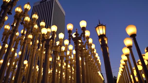 Low Angle Shot Rows Variety Illuminated Lamp Post — Stock Video