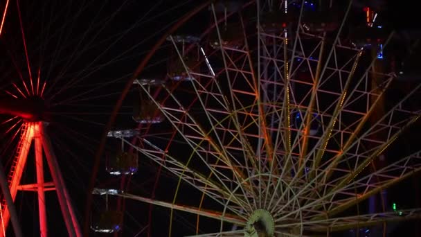 Rueda Hurón Movimiento Rodeada Luces Neón Bailando — Vídeos de Stock