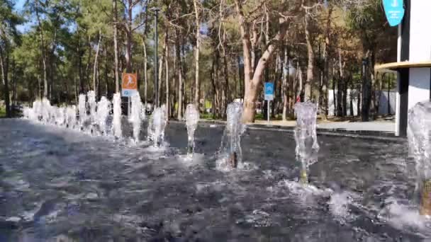 Video Water Fountain Attraction — Stock Video