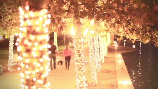 Luces Junto Río — Vídeos de Stock