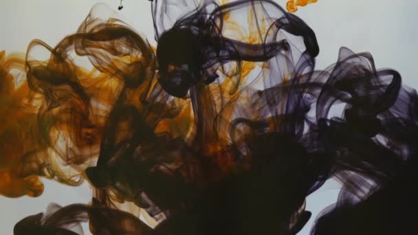 Sıvıdaki Mürekkebin Farklı Renklerinin Karışımı — Stok video