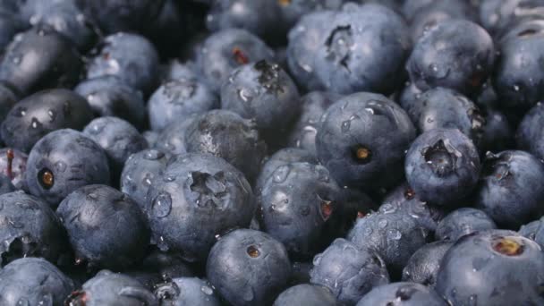 Nahaufnahme Von Mit Wasser Gewaschenen Blaubeeren — Stockvideo