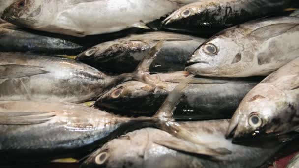 Рыба Продажи Мокром Рынке — стоковое видео