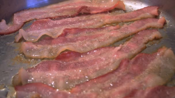 Video Sizzling Bacon — Stock Video