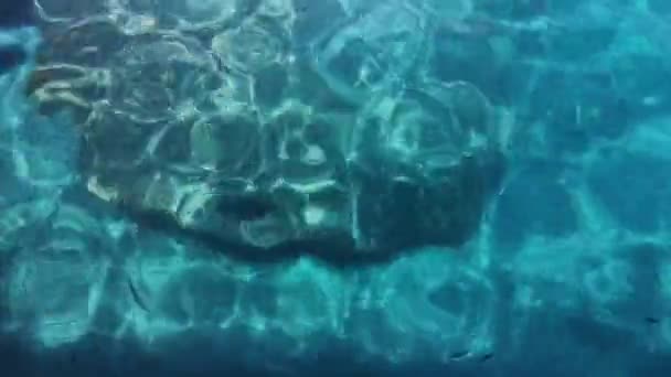 水体表面上的岩石 — 图库视频影像