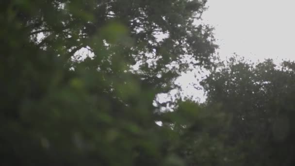 Ein Blick Aus Dem Fenster Des Regens Der Herabregnet — Stockvideo
