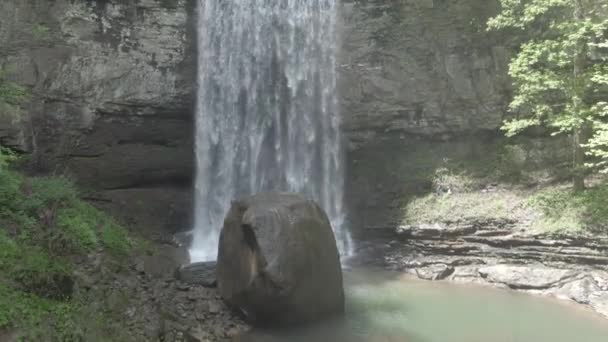 森林里的瀑布 — 图库视频影像