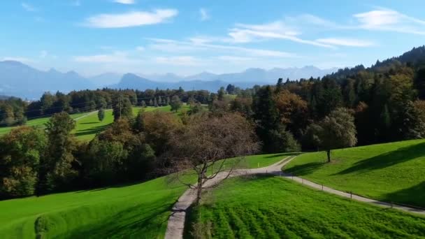 Tiro Aéreo Del Campo Golf — Vídeos de Stock