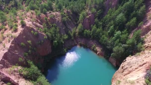 Воздушная Съемка Озера Деревьев — стоковое видео