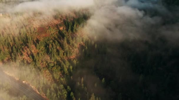 Antenn Utsikt Över Ett Vackert Landskap — Stockvideo