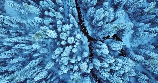 Vista Aérea Paisaje Invernal — Vídeo de stock