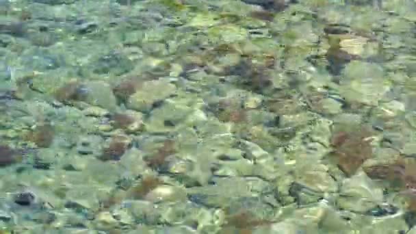 Lecho Rocas Sobre Agua Clara — Vídeos de Stock