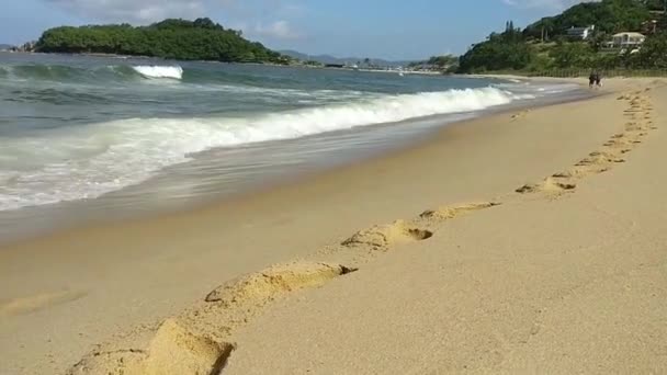 Stora Vågor Rusar Till Stranden — Stockvideo