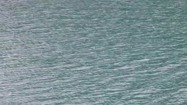 波浪小的水体 — 图库视频影像