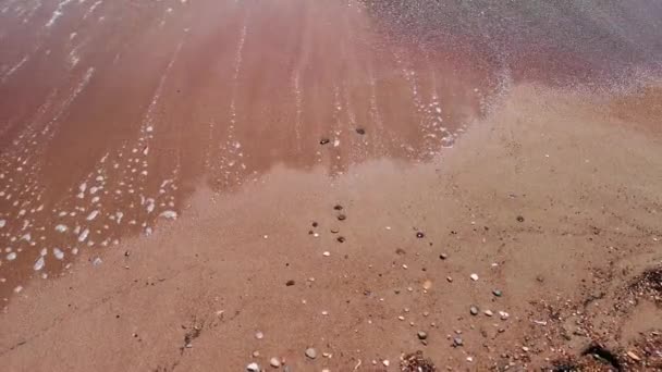 Vídeo Praia Areia Marrom — Vídeo de Stock