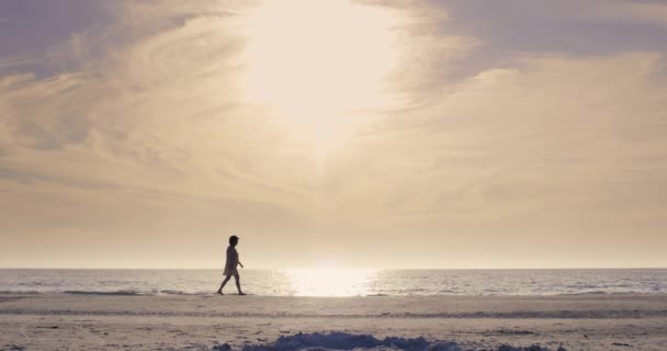 Imágenes Ángulo Bajo Una Mujer Caminando Por Playa — Vídeos de Stock