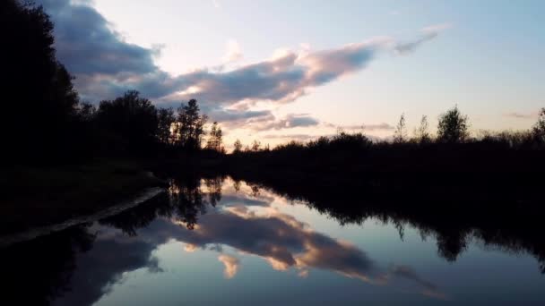 Βίντεο Του Ποταμού Ανάμεσα Στα Δέντρα — Αρχείο Βίντεο