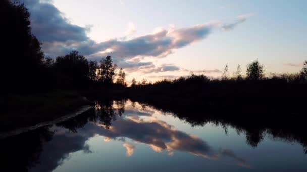 Video Floden Mellan Träd — Stockvideo