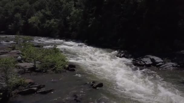 Rapids Çekim Videosu — Stok video