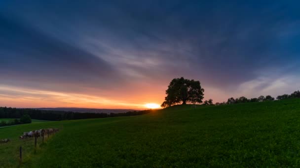 Time Lapse Video Zonsondergang — Stockvideo