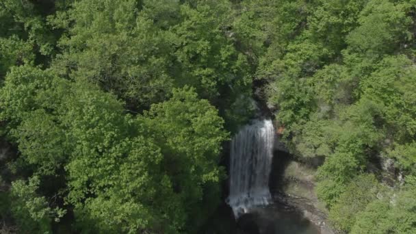 Cascadas Medio Bosque — Vídeos de Stock