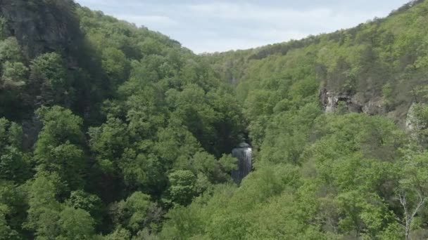 Waterfalls Woods — Stock Video