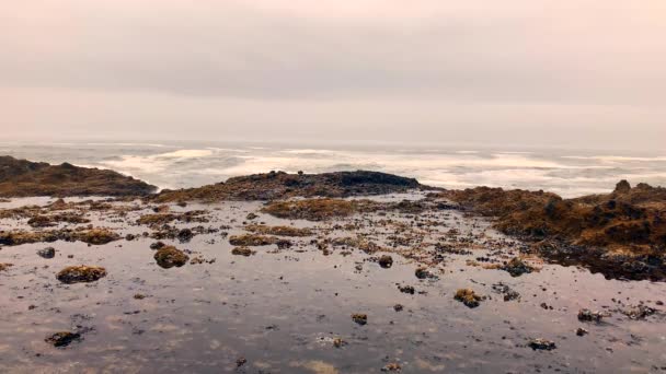 Onde Che Infrangono Sul Rocky Seashore — Video Stock