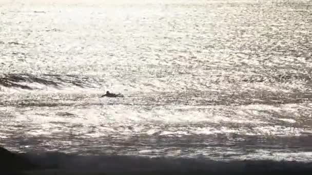 Hombre Surf Una Playa — Vídeo de stock