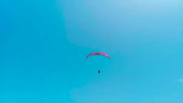 青い空の下でパラグライダー — ストック動画