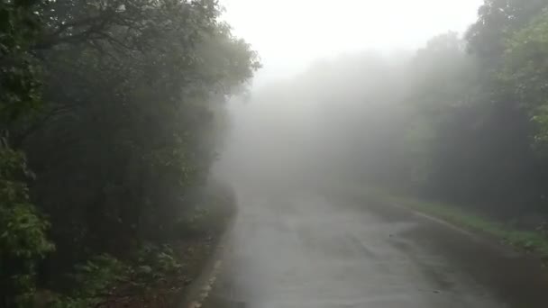 Driving Foggy Road — Stock Video
