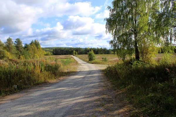 Ormana açılan bir delik.
