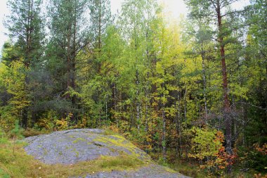 Karelia 'da güneşsiz bir sonbahar günü