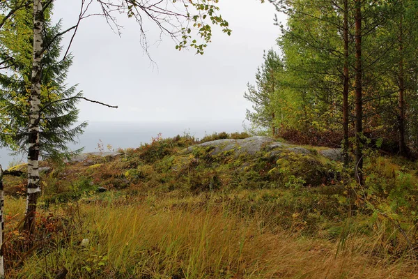 Karelia 'da güneşsiz bir sonbahar günü
