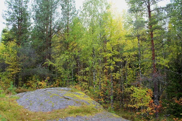 Karelia 'da güneşsiz bir sonbahar günü