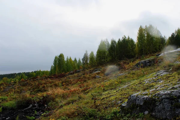 Karelia 'da güneşsiz bir sonbahar günü