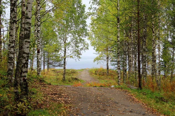 Karelia 'da güneşsiz bir sonbahar günü