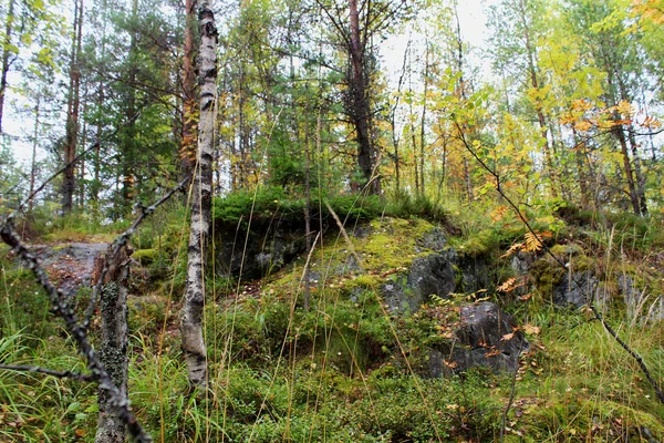 Karelia 'da güneşsiz bir sonbahar günü
