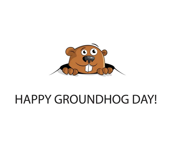 Groundhog peeking out of a hole — Stock Vector