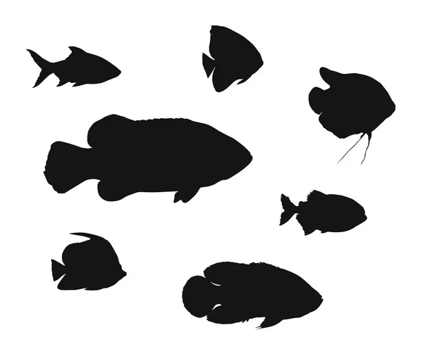 Différentes silhouettes de poissons — Image vectorielle