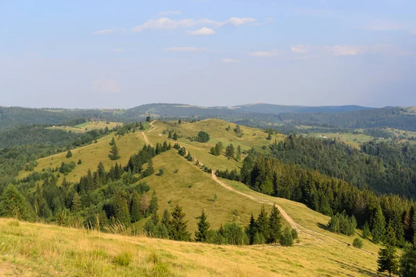 Mountain nature trail among meadows and forest landscape — Stock Photo, Image