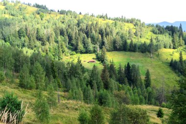 Ormanın derinliklerinde dağların arasında eski yalnız ev