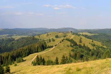 Dağ doğa iz çayır ve orman manzara arasında