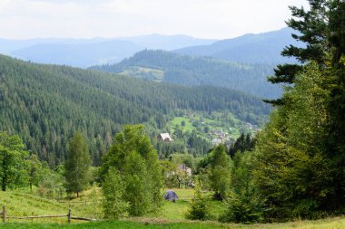 Peyzaj dağlık çayır ve orman