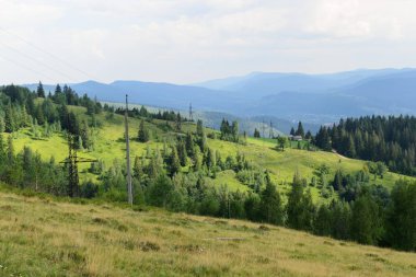 Manzara orman ve dağlar teller perspe içinde elektrik Mount