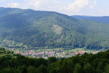 Dağ ve orman arasında yatay şehir
