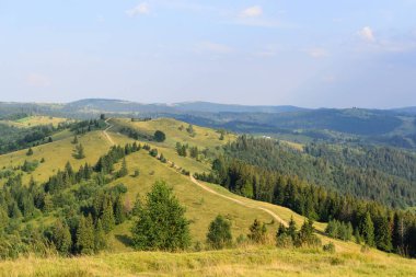 Çok çayır ve orman ortasına bırakarak dağ iz